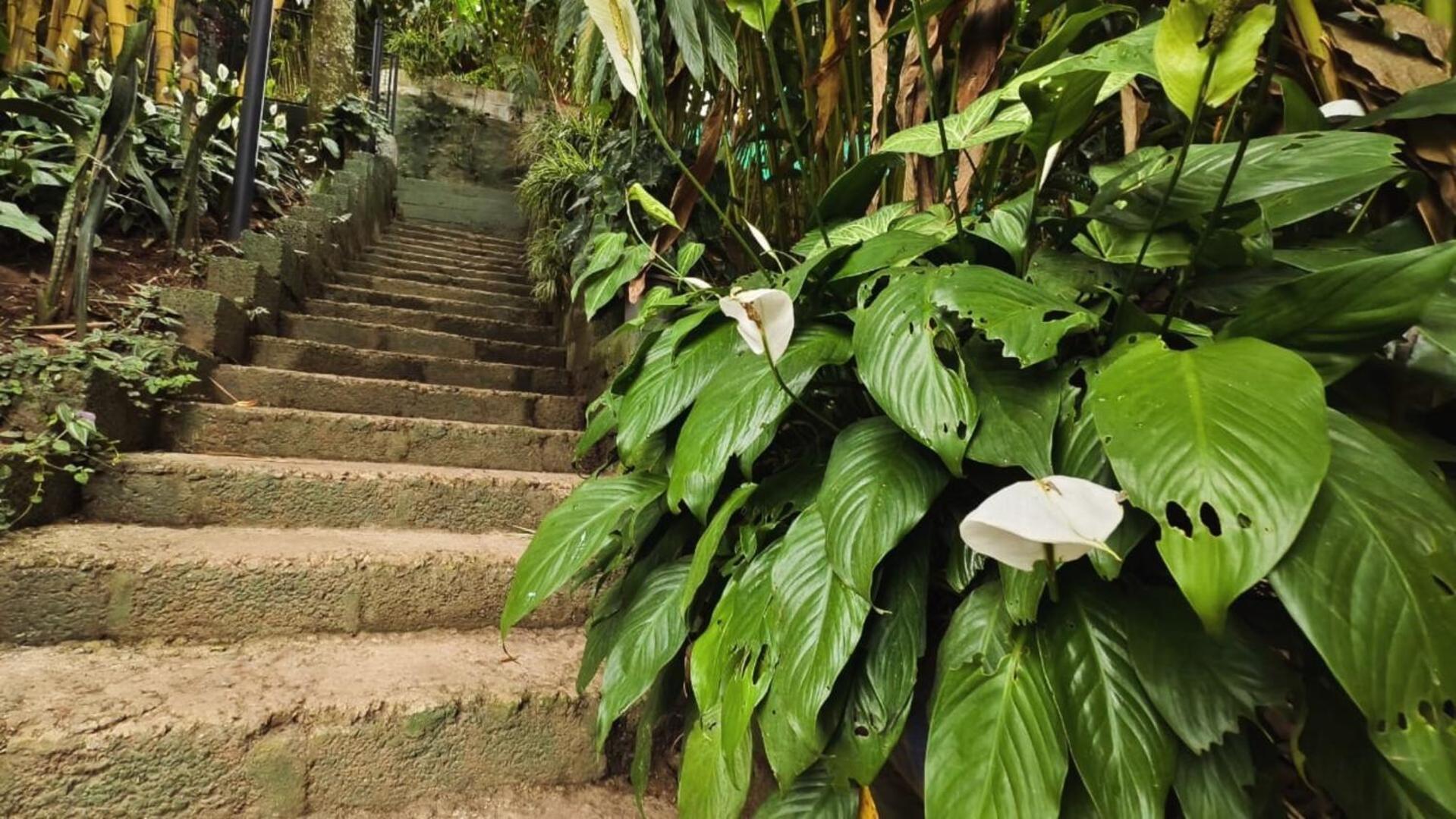 Lush Acres Vila Thekkady Exterior foto